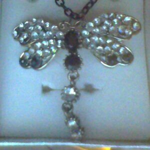 art deco style dragonfly pin on black chain